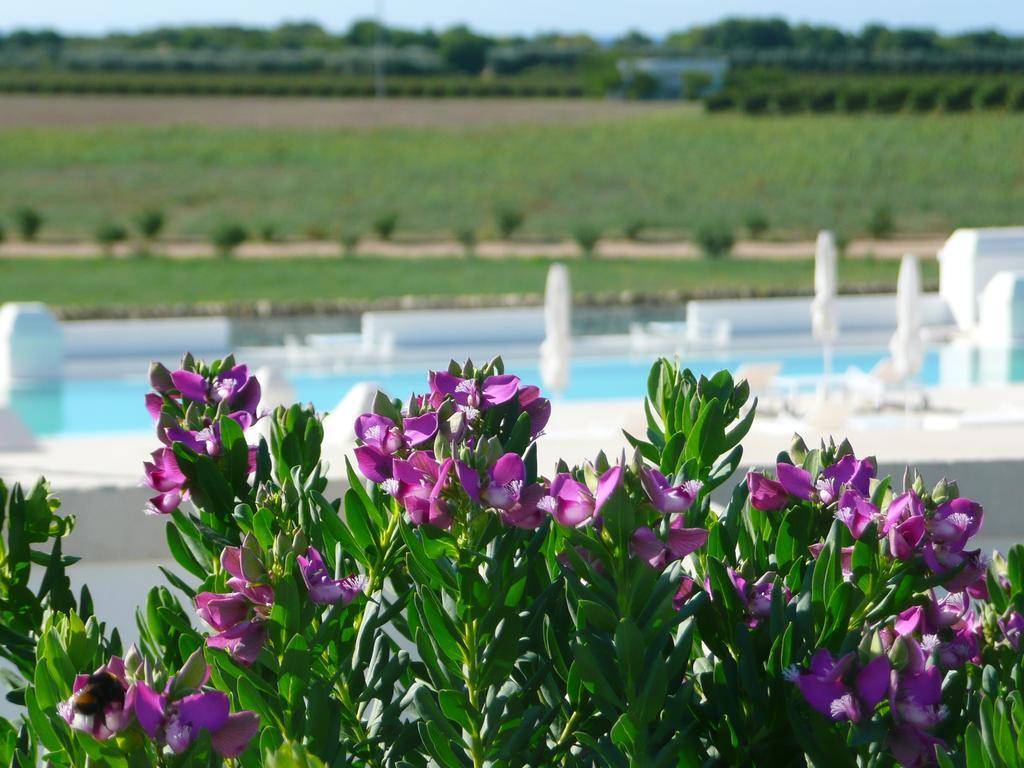Masseria Bagnara Resort & Spa Marina di Lizzano Luaran gambar