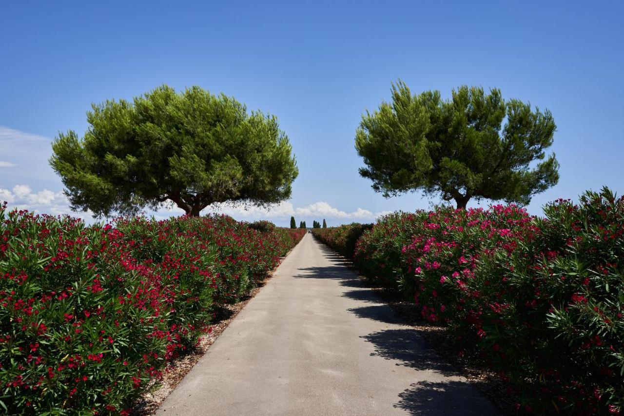 Masseria Bagnara Resort & Spa Marina di Lizzano Luaran gambar